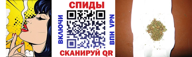 Купить  Инза  Бутират BDO 33% 