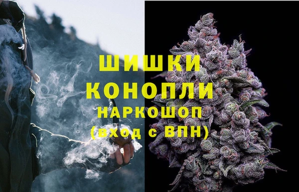 MESCALINE Осинники