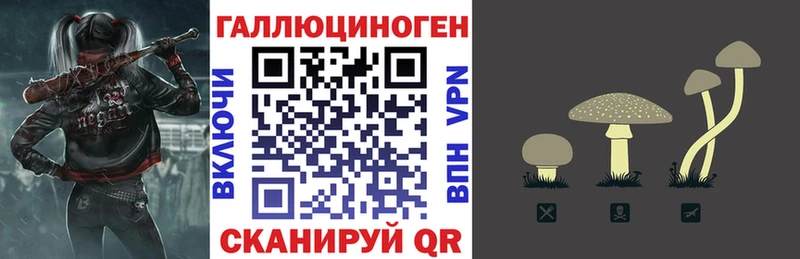 Купить где  Инза  Галлюциногенные грибы Cubensis 